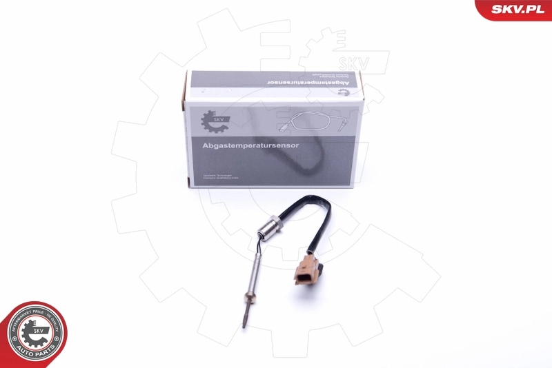 Sensor, exhaust gas temperature
